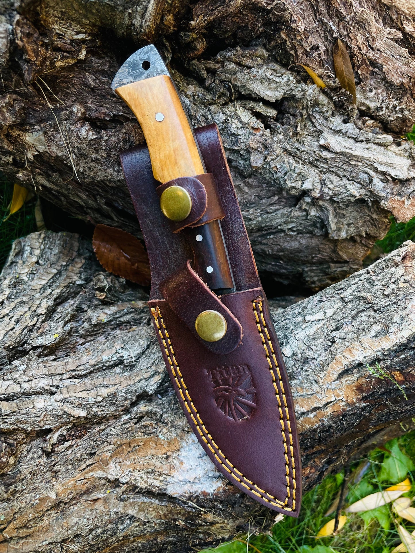 Damascus Steel Guthook Skinning TK-056
