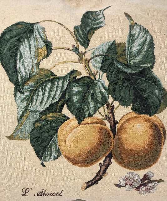 Apricot Fruit Elegant Accent Throw Pillow Cushion Cover - 1-Piece - 18"