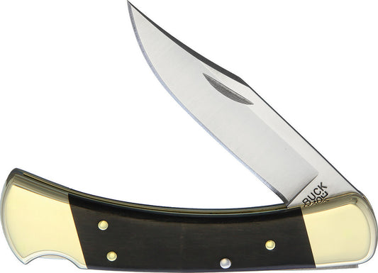 Buck 110 Folding Hunter Lockback Knife