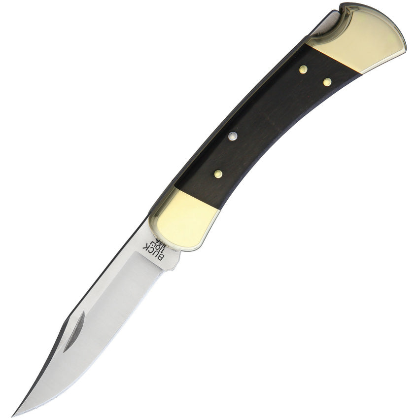 Buck 110 Folding Hunter Lockback Knife view 2