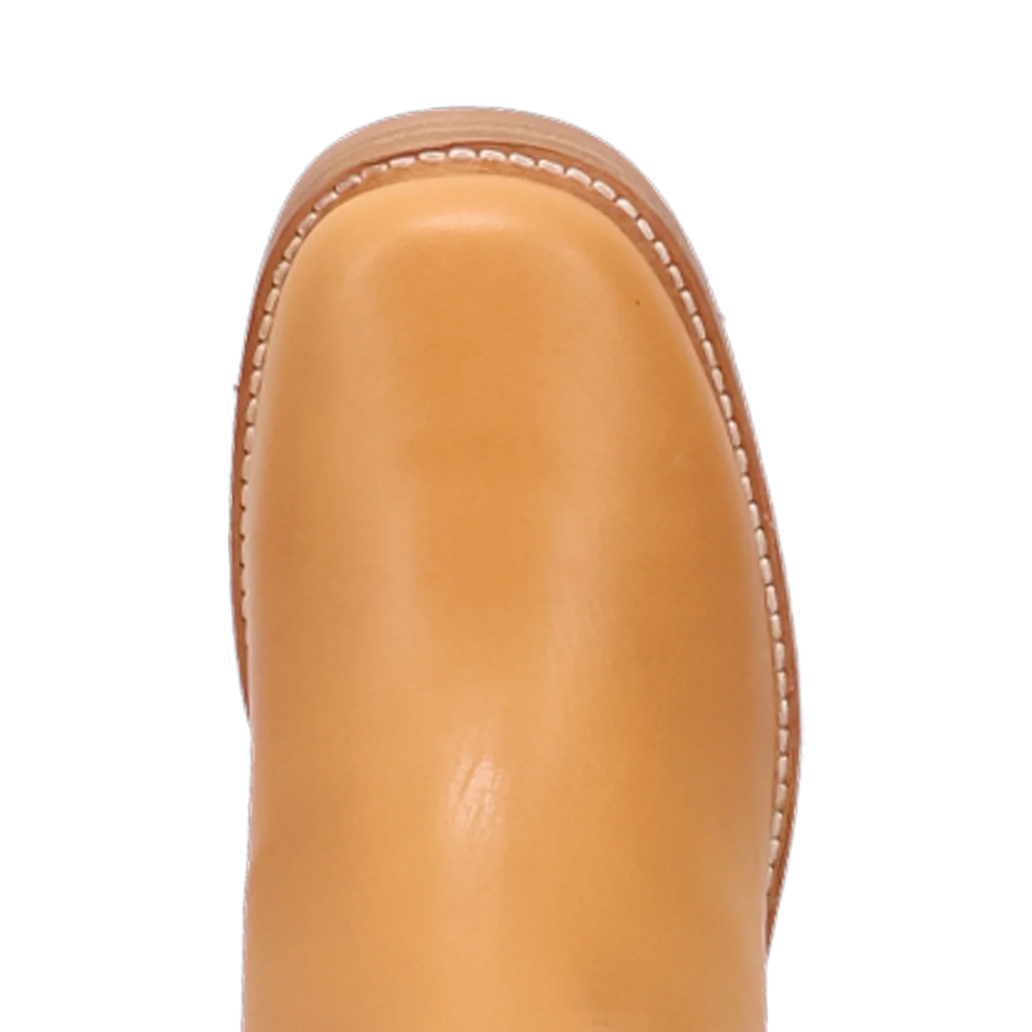 Dingo Roxy - Women's Leather Booties - 6 Color Options