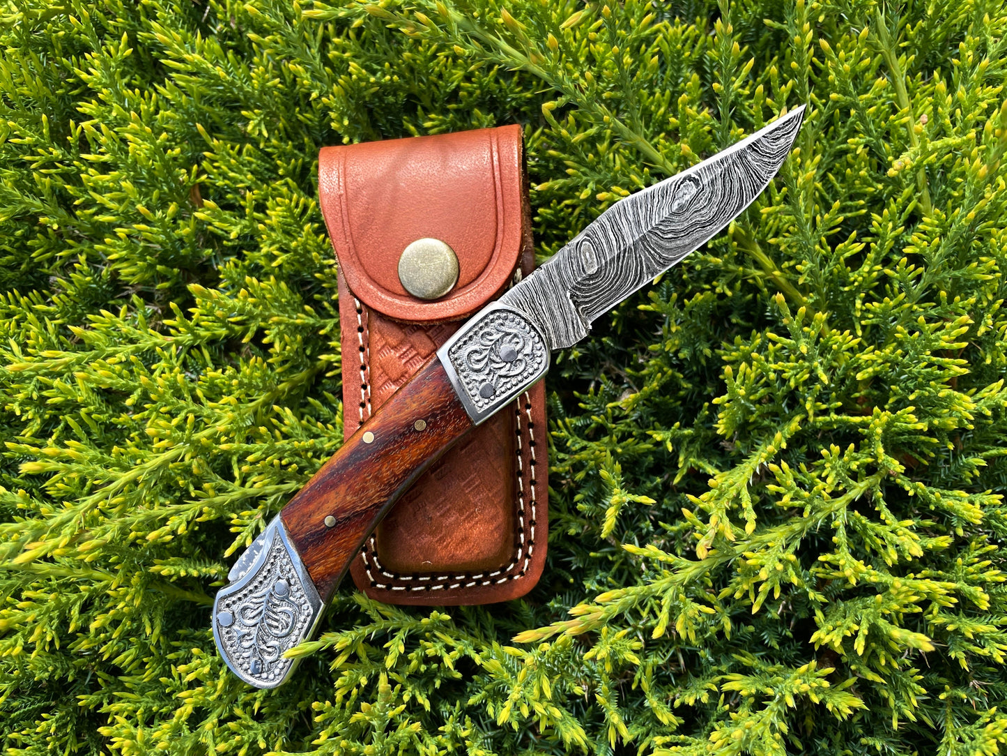 Walnut Damascus Steel 6.5" Pocket Knife Bolster Back TF-010