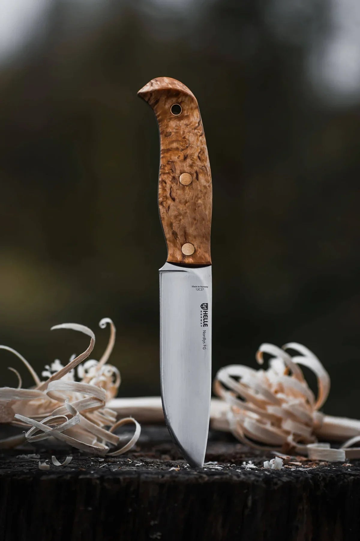 Helle Nordlys FG Flat Grind Knife – 12C27 Stainless, Full Tang, Curly Birch