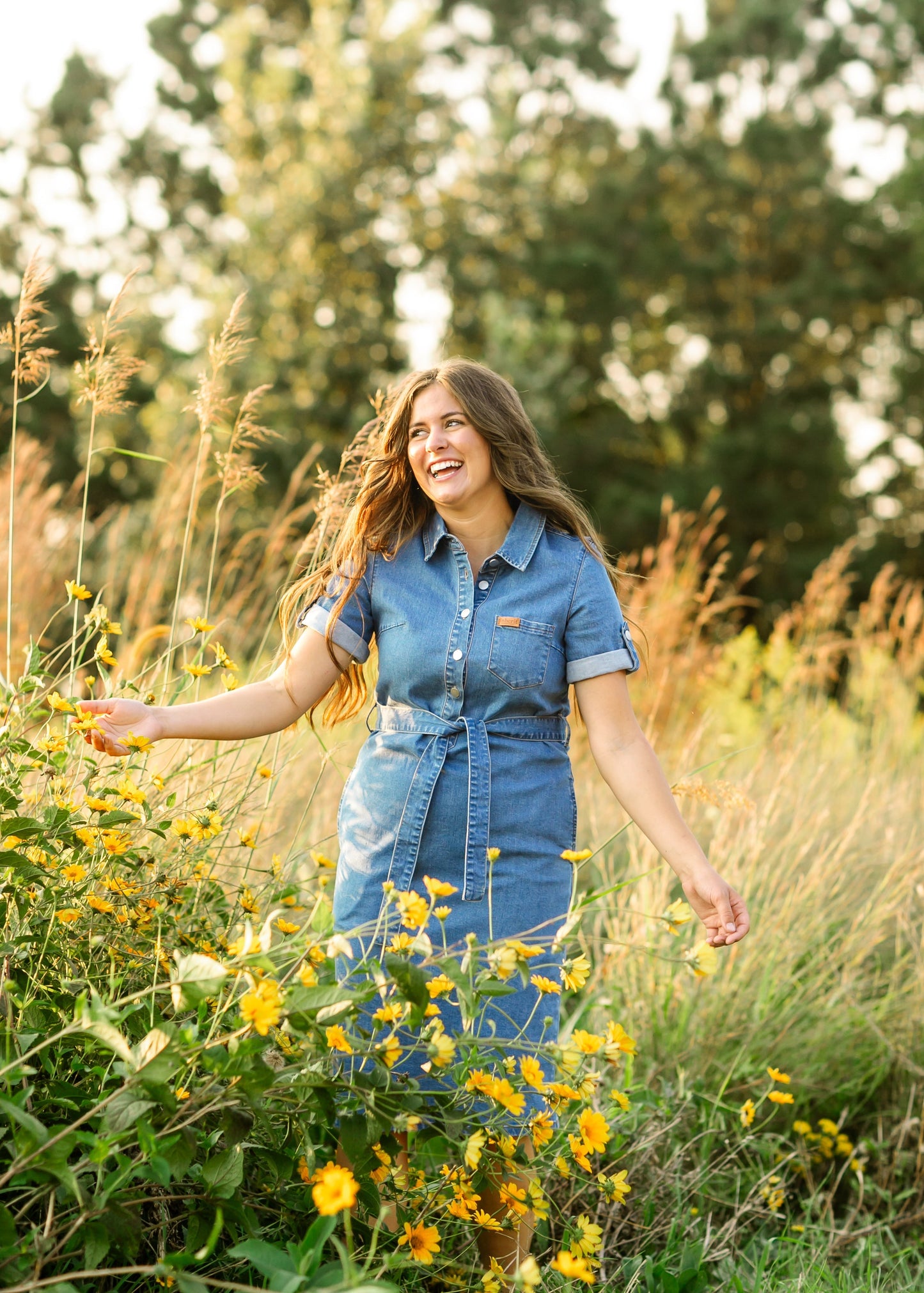 Inherit Co Ada Denim Midi Dress Denim Wash Belt Buttons Knee Length