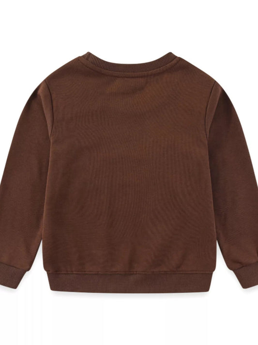 Children's Dinosaur Embroidered Crew Neck Sweatshirt - Bumpkin Ranchwear