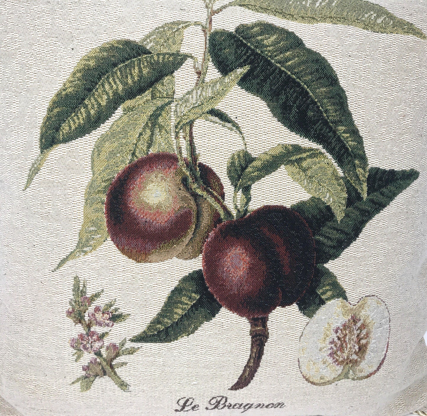 Nectarine Fruits Elegant Accent Throw Pillow Cushion Cover - 18"